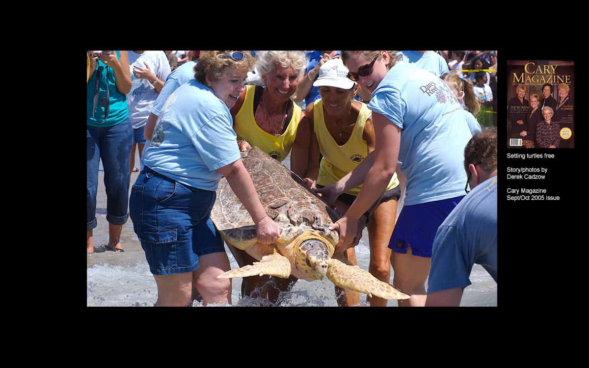 Setting turtles free - DerekCadzow.com